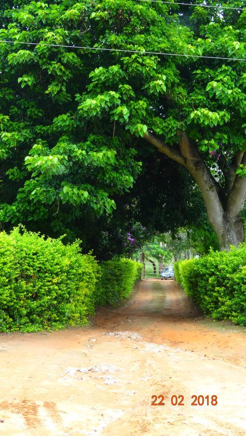 فندق Itaúnaفي  Fazenda 3 Barras المظهر الخارجي الصورة