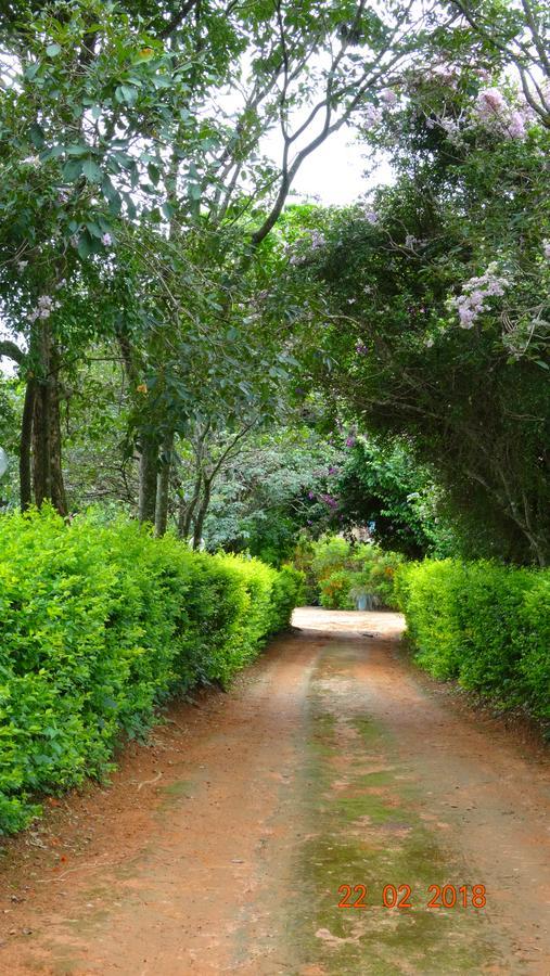 فندق Itaúnaفي  Fazenda 3 Barras المظهر الخارجي الصورة